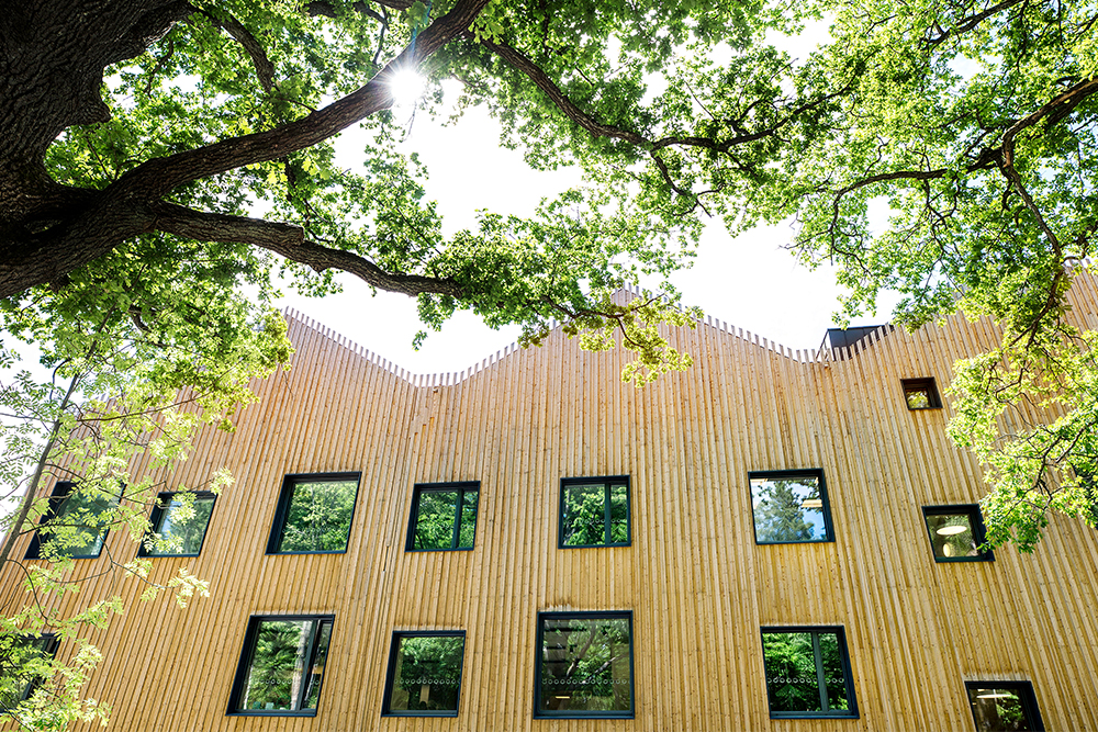 Exteriör på Skapaskolan, en byggnad i trä. Foto: Håkan Lindgren
