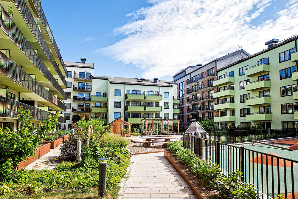 Vy över grönskande innergård. Foto: Håkan Lindgren