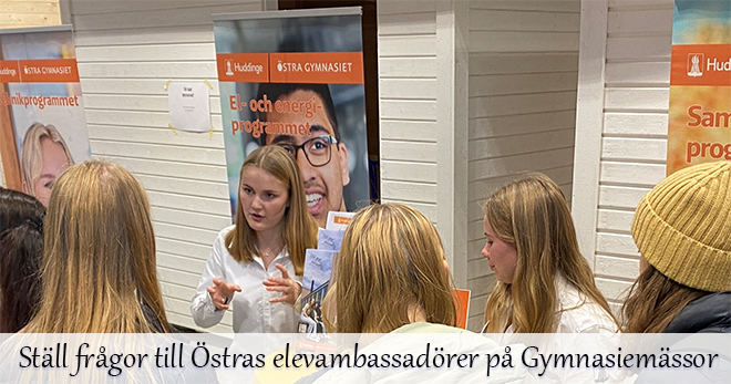 Elevambassadörer från Östra svarar på frågor på gymnasiemässan.