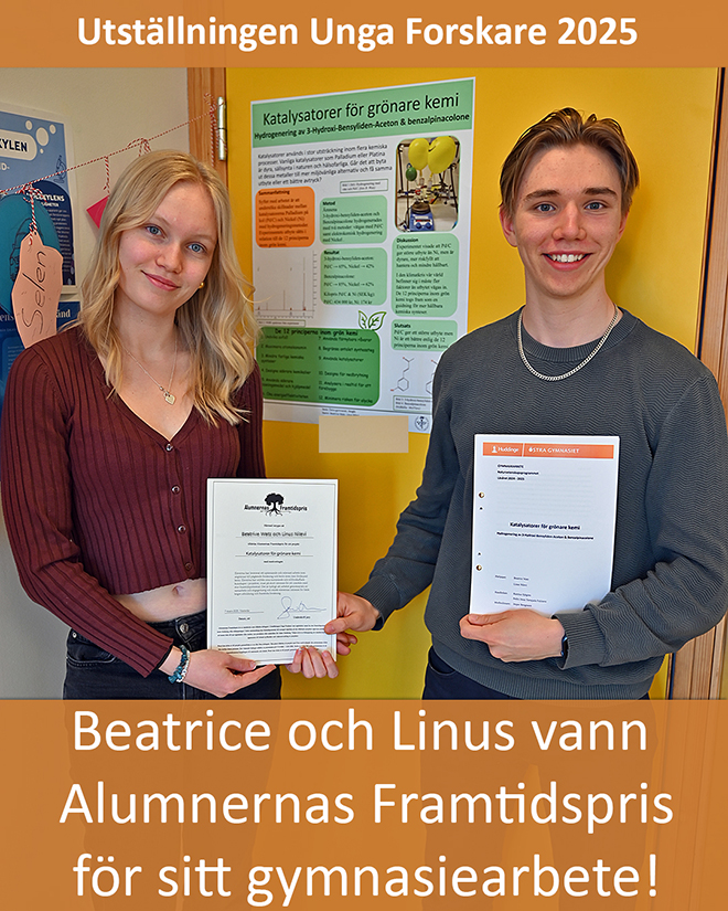 Beatrice och Linus prisade för gymnasiearbetet.