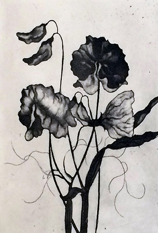 En vissen blomma.