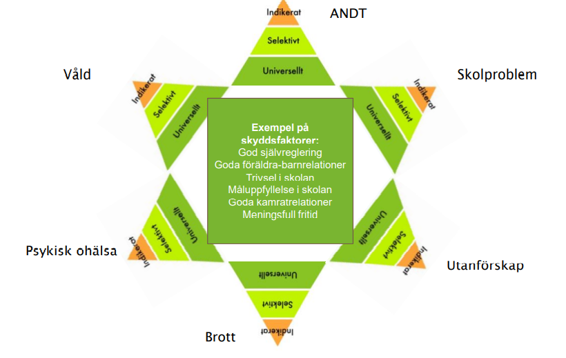 Illustration över preventionsstjärnan.