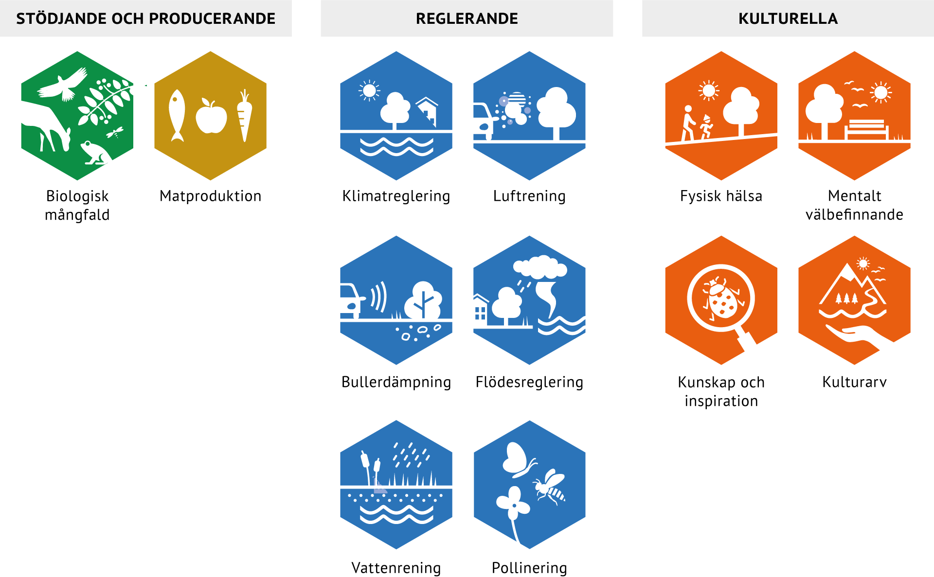 Översikt ekosystemtjänster fördelade på kategorierna stödjande och producerande, reglerande, och kulturella ekosystemtjänster.